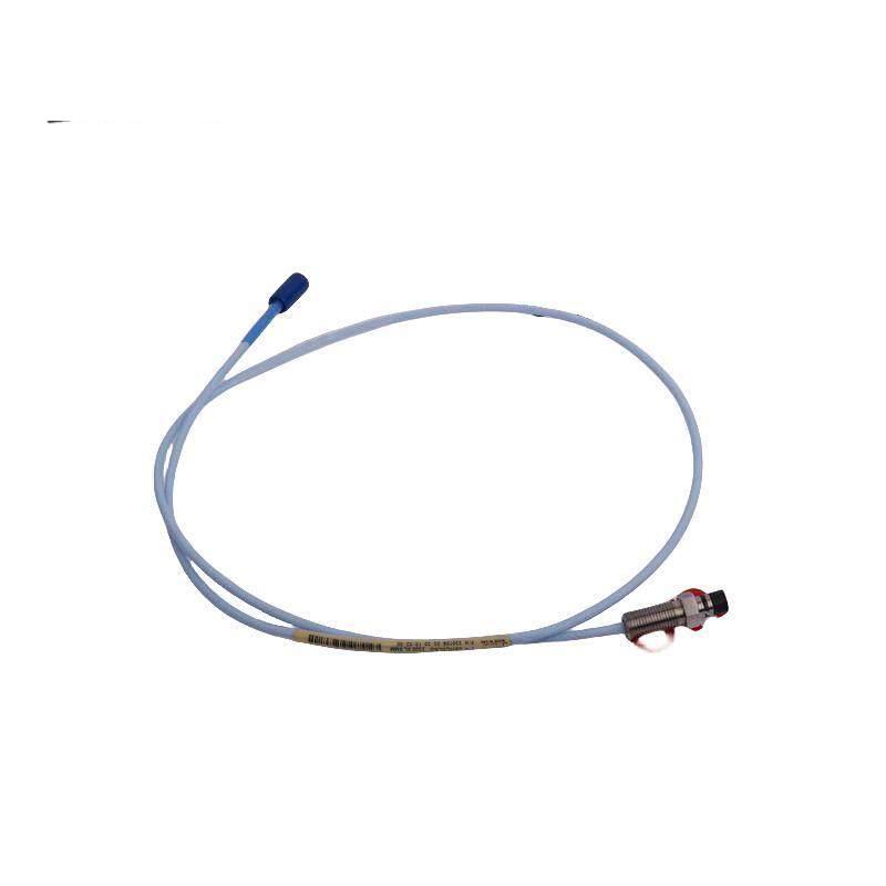 BENTLY NEVADA 3300/10 Thermal Transfer MODULE