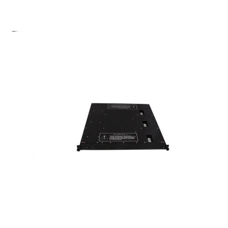 TRICONEX 4000094-320 Module
