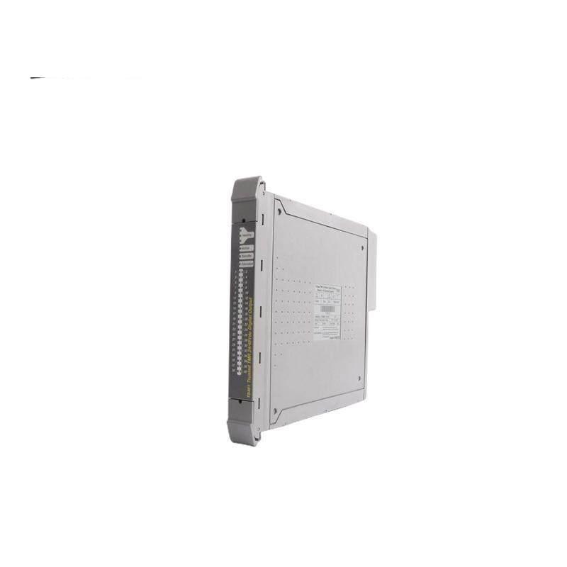 ICS TRIPLEX T8310 EXPANDER INTERFACE