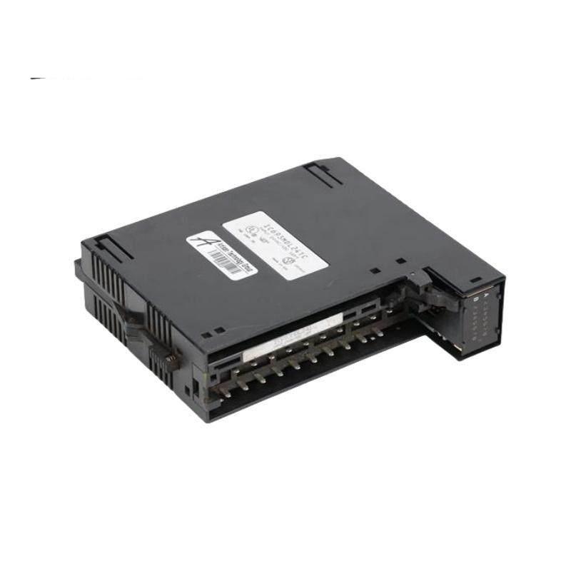GE IC693MDL241 Positive/Negative Input module