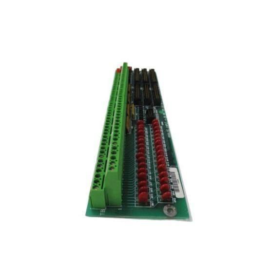 GE Fanuc DS200TBQCG1AAA  Terminal Panel