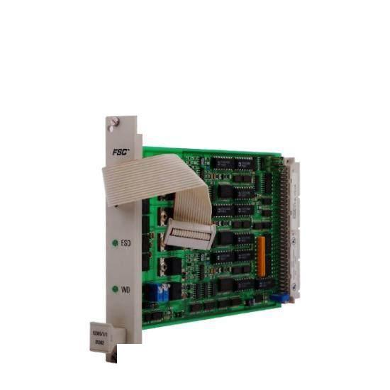 Honeywell 10005/1/1 FSC Watch Dog Module