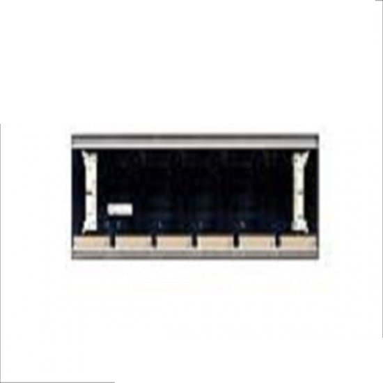 Bachmann BS206 PLC Module