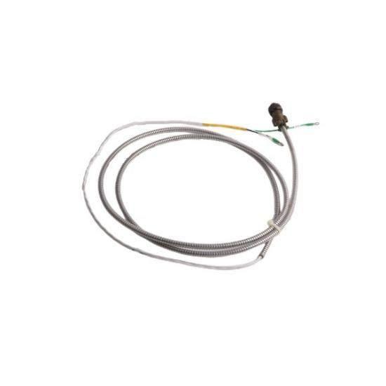 Bently Nevada 16710-12