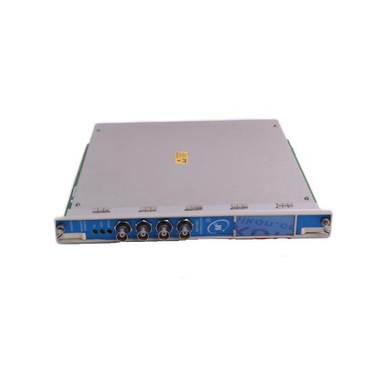 Bently Nevada 300103-A00-B09-C10-D02-E0